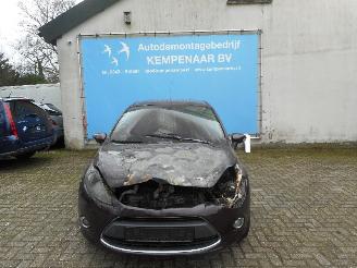 uszkodzony samochody osobowe Ford Fiesta Fiesta 6 (JA8) Hatchback 1.25 16V (SNJA) [60kW]  (06-2008/06-2017) 2009/3