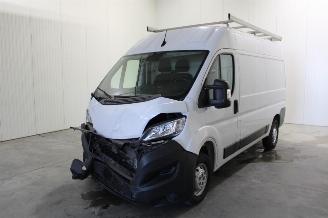 dommages fourgonnettes/vécules utilitaires Opel Movano  2022/1