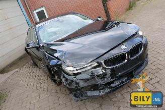 uszkodzony inne BMW 4-serie F36 420 dX 2016/9